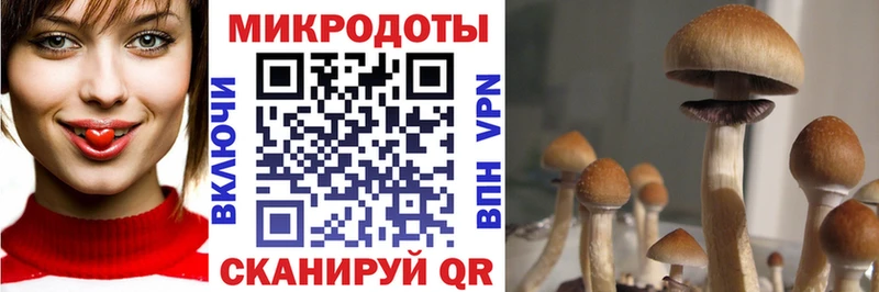 Галлюциногенные грибы Magic Shrooms  Иркутск 